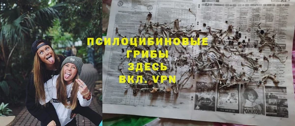 прущая мука Алзамай