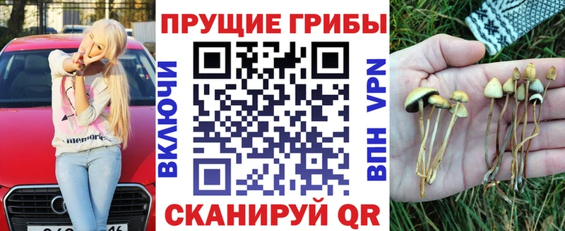 сколько стоит  Ахтырский  Псилоцибиновые грибы GOLDEN TEACHER 